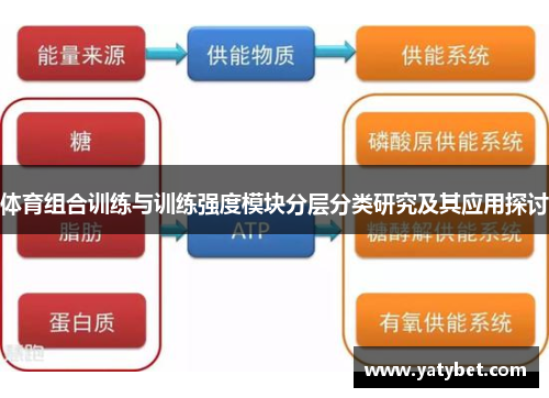 体育组合训练与训练强度模块分层分类研究及其应用探讨